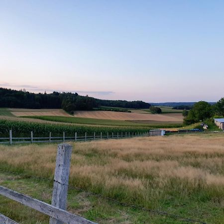 Bett'N Glueck - Uebernachtung & Fruehstueck Bed and Breakfast Zusmarshausen Exteriör bild