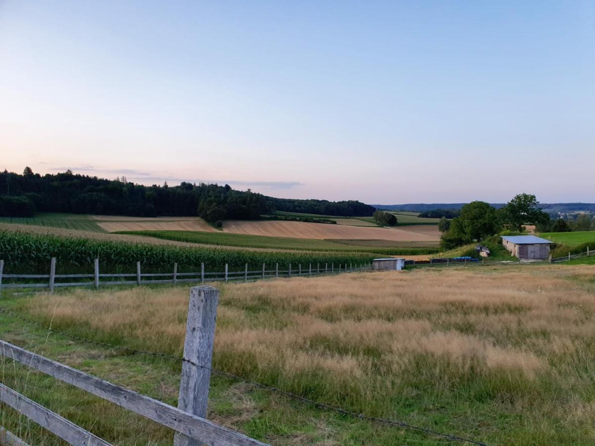 Bett'N Glueck - Uebernachtung & Fruehstueck Bed and Breakfast Zusmarshausen Exteriör bild